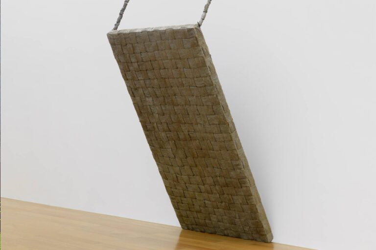 Collection Kunstmuseum Liechtenstein Lampoon