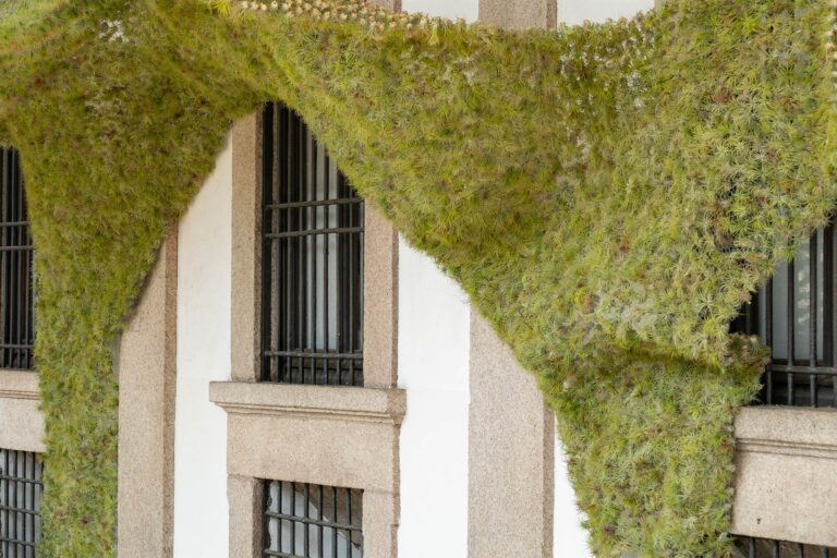 Lampoon Magazine Roberta Filippini Roberta Studio|Nike-Wall-Tillandsia-wall-Fuorisalone-2016.-Courtesy-Michieli-Fioricoltur|||Roberta Studio