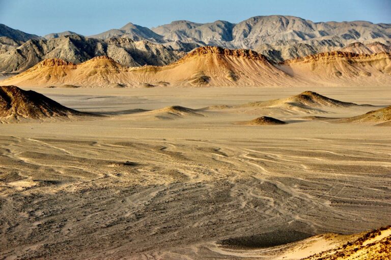 Lampoon Magazine Wadi el Gemal