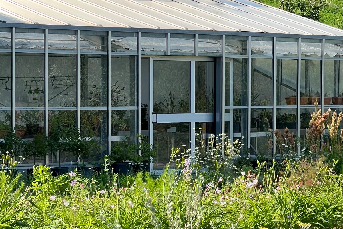 Casa di Langa, greenhouse
