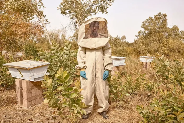 |IMAGE AT MILANO PHOTO FESTIVAL 2019|Michael Petryk reforesting|Michael Petryk reforesting