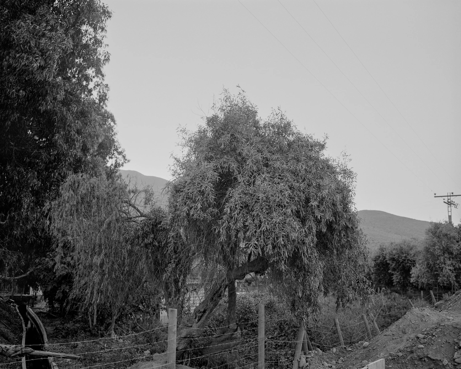 Cristian Ordóñez, Huasco Valley, 2022