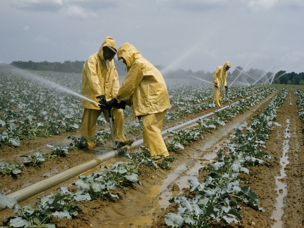lampoon, fertilizer, seabrook, new jersey, B Anthony Stewart