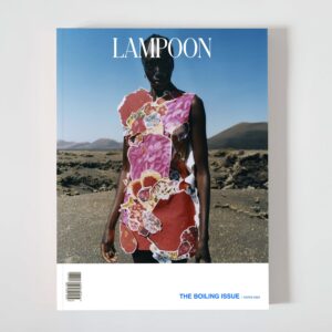 Lampoon 29<br>The Boiling Issue - Cover 6
