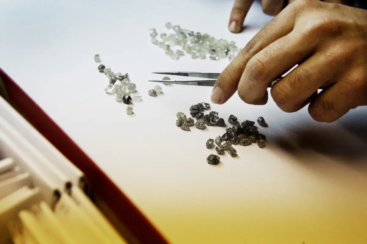 Lampoon, A man sorts uncut diamonds to assess their quality at a company in the city_s Diamond Quarter, Antwerp, Belgium, Tim Dirven
