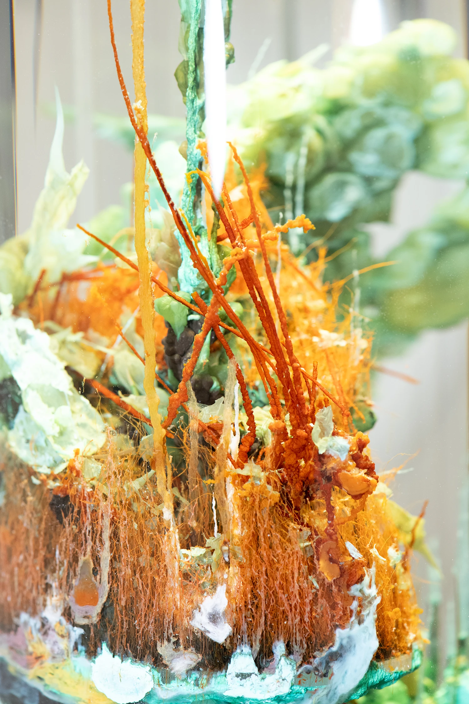 Alexandra Pirici's exhibition details by Frederik Ruegger