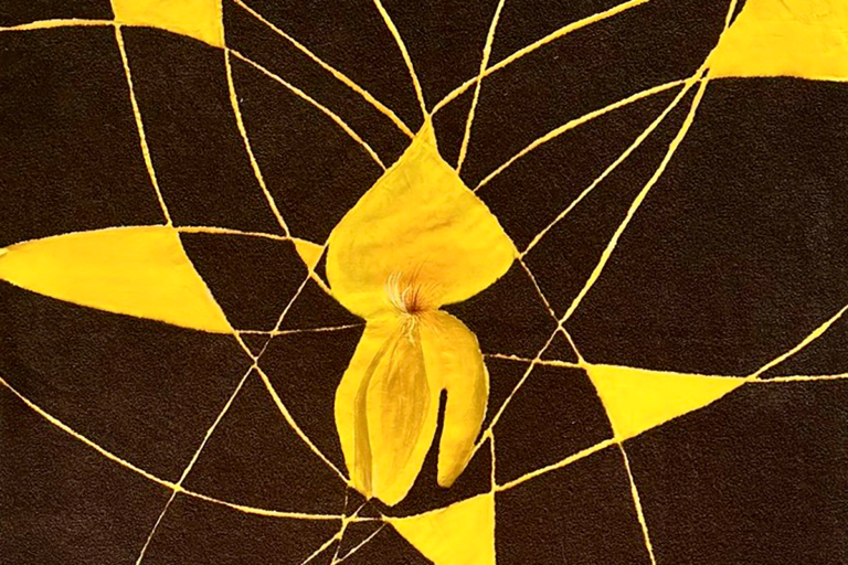 Allegra Hicks istituto cultura new york ginestra mostra|||||Allegra Hicks