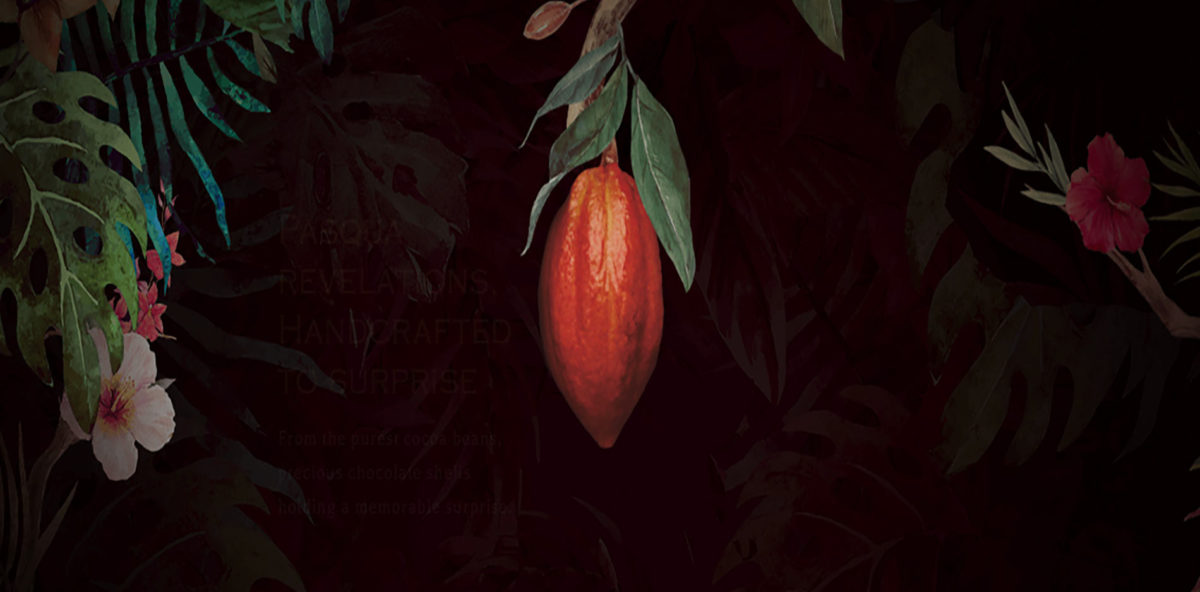AMEDEI CHOCOLATE ILLUSTRATION|AMADEI