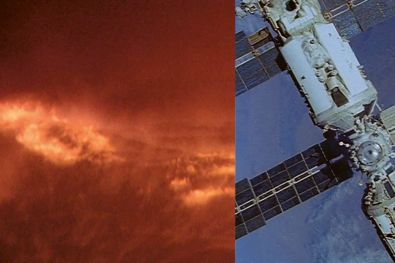 Andrej Ujica|Andrej Ujica