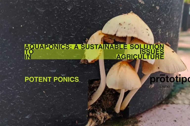 Aquaponics - a sustainable solution to issues in agriculture|Lampoon. Aquaponics - a sustainable solution to issues in agriculture