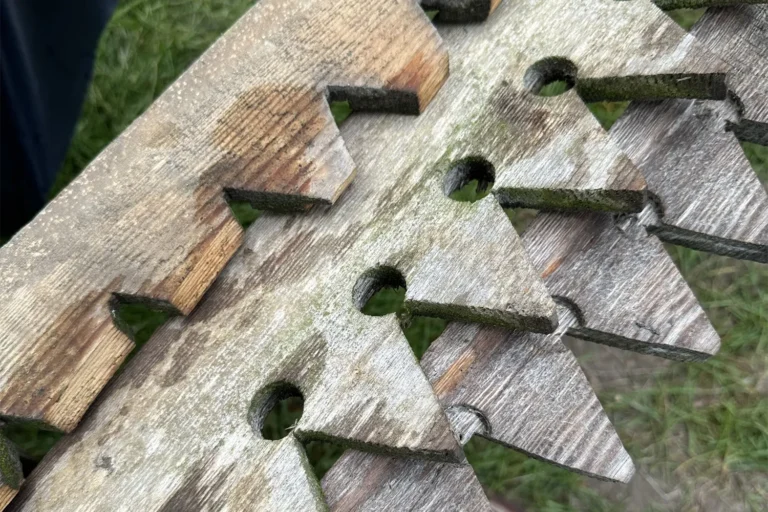 Augustas Serapinas|Augustas Serapinas. Wooden Travel