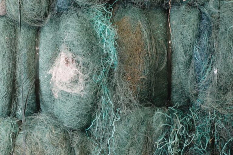 Bernstein-Blockchain-Lampoon