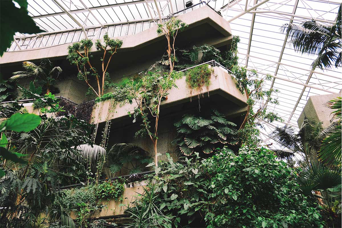 Barbican Conservatory in one of London’s largest greenhouses