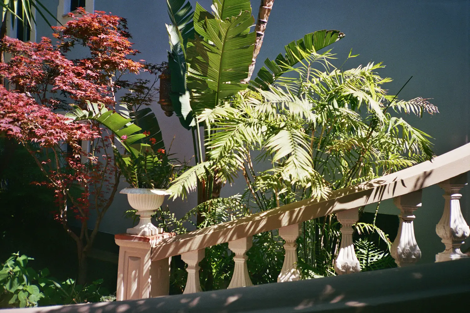 Baroque-inspired niche on a powder-blue wall reveals Zeffirelli’s eclectic overlay on local architectural forms