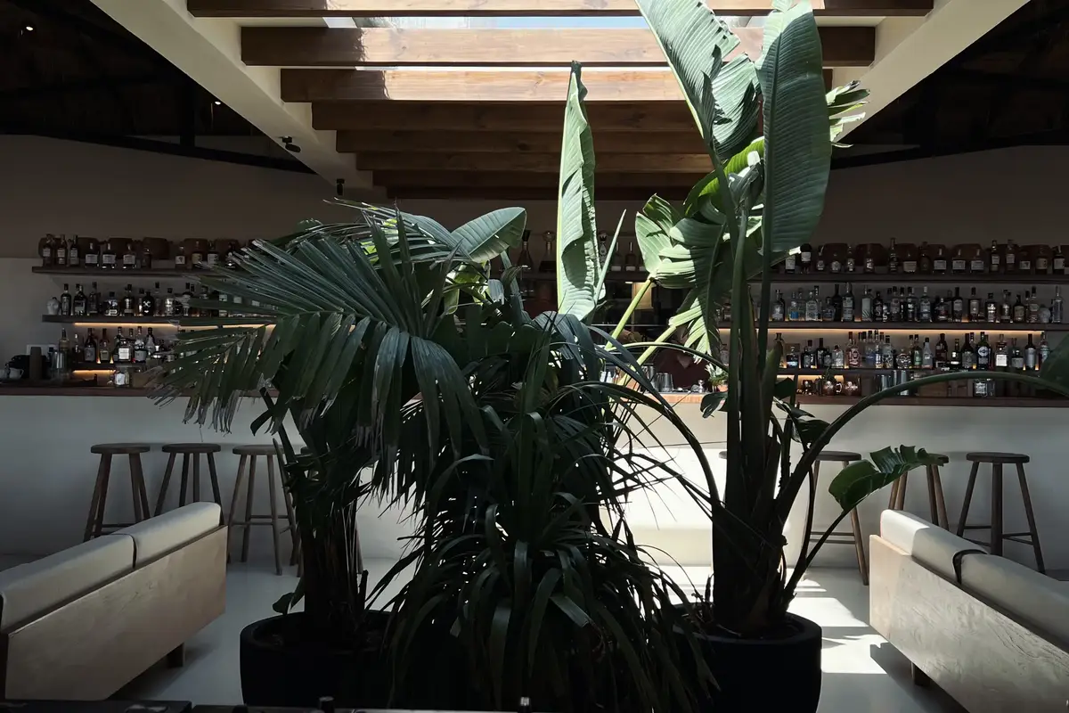 Beachouse Ibiza, Island Hospitality