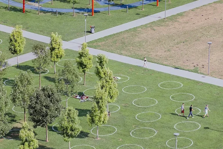 Biblioteca degli alberi