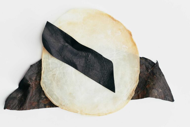 Bio leather used by Schiros is grown from a symbiotic culture of bacteria and yeast (SCOBI)