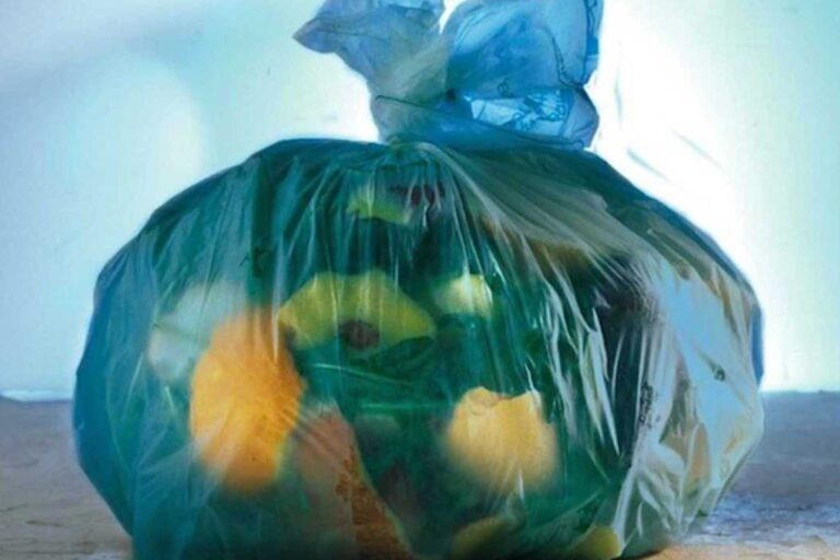 Biodegradation of plastic materials