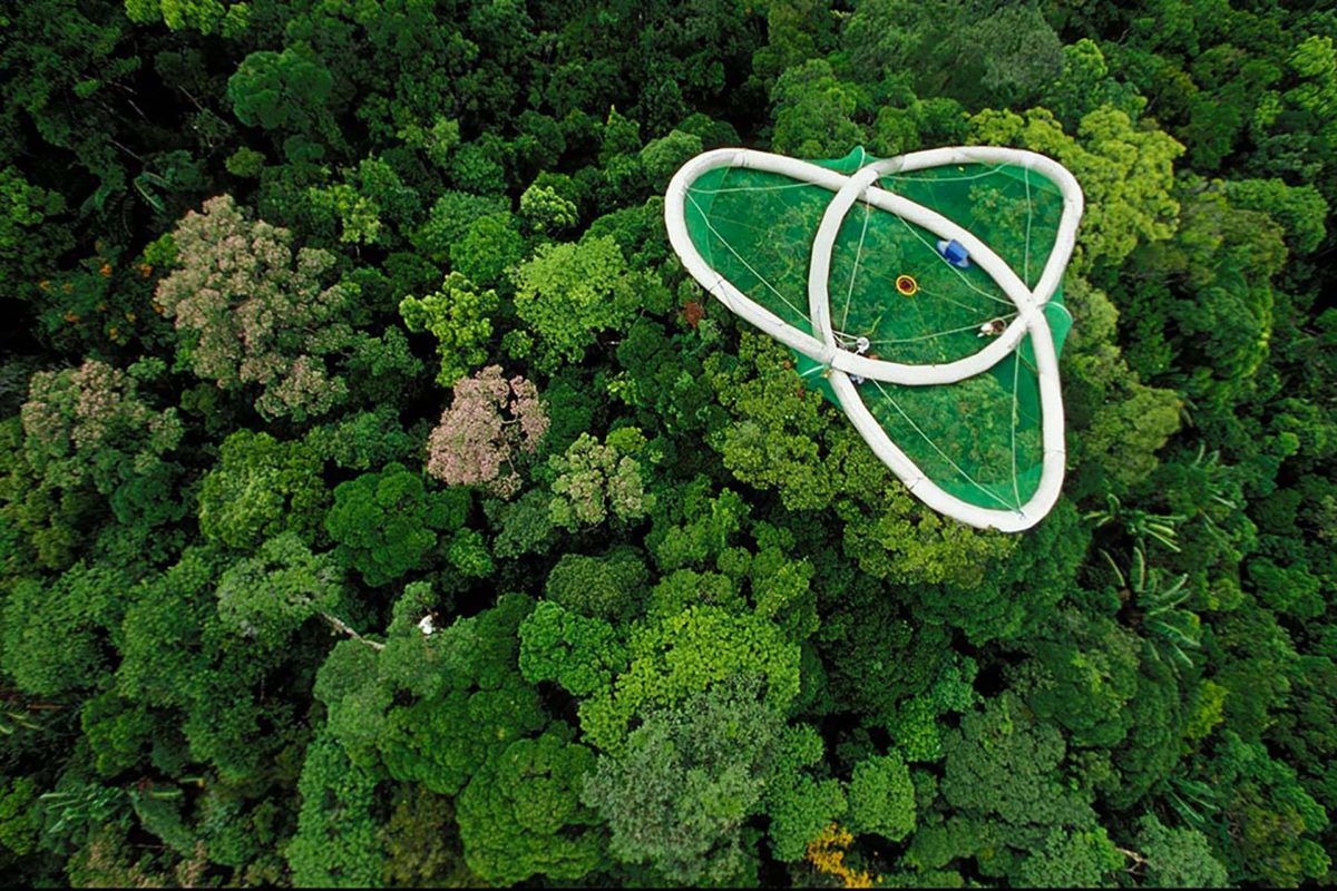 Biochar - Brando Crespi Interview|10/00/2001. EXCLUSIVE: The Malagasy Canopy Uncovers its Secrets to the Treetop Raft