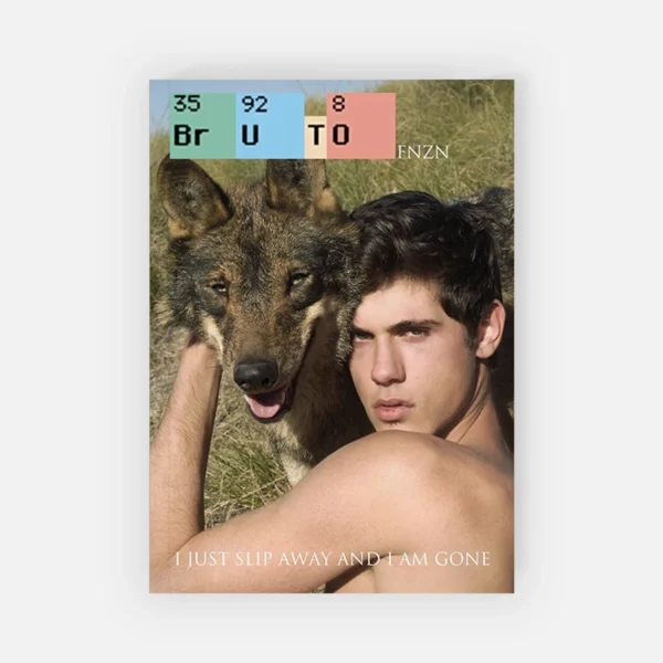 Bruto FNZN <br>Various editions