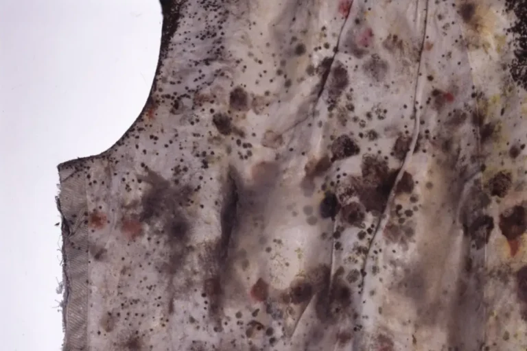 Moldy fashion Margiela