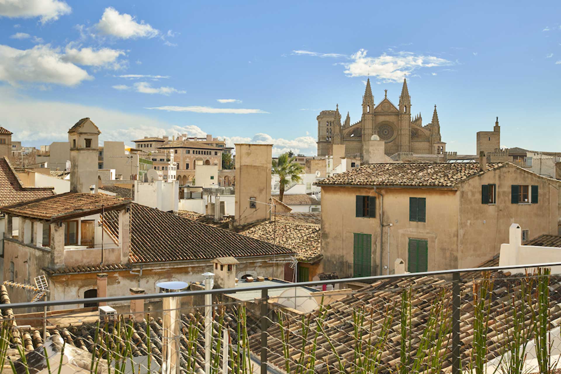 Can Bordoy is situated in the heart of La Lonja – a district is named after a15th century building