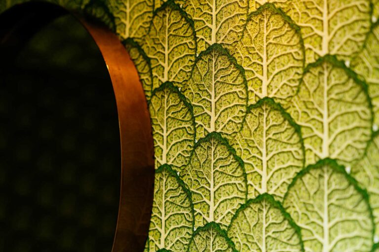 Casa Maria Luigia-Lampoon