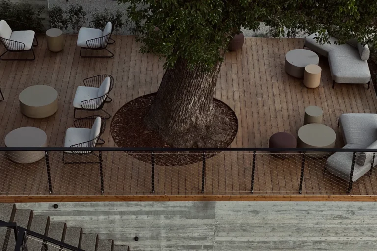 Capitolo Riviera – un. albero secolare di canfora|Capitolo Riviera|Capitolo Riviera – vista dall'alto|Capitolo Riviera