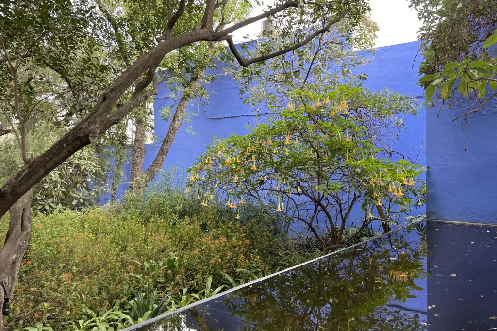 Casa Luis Barragán – fauna and flora