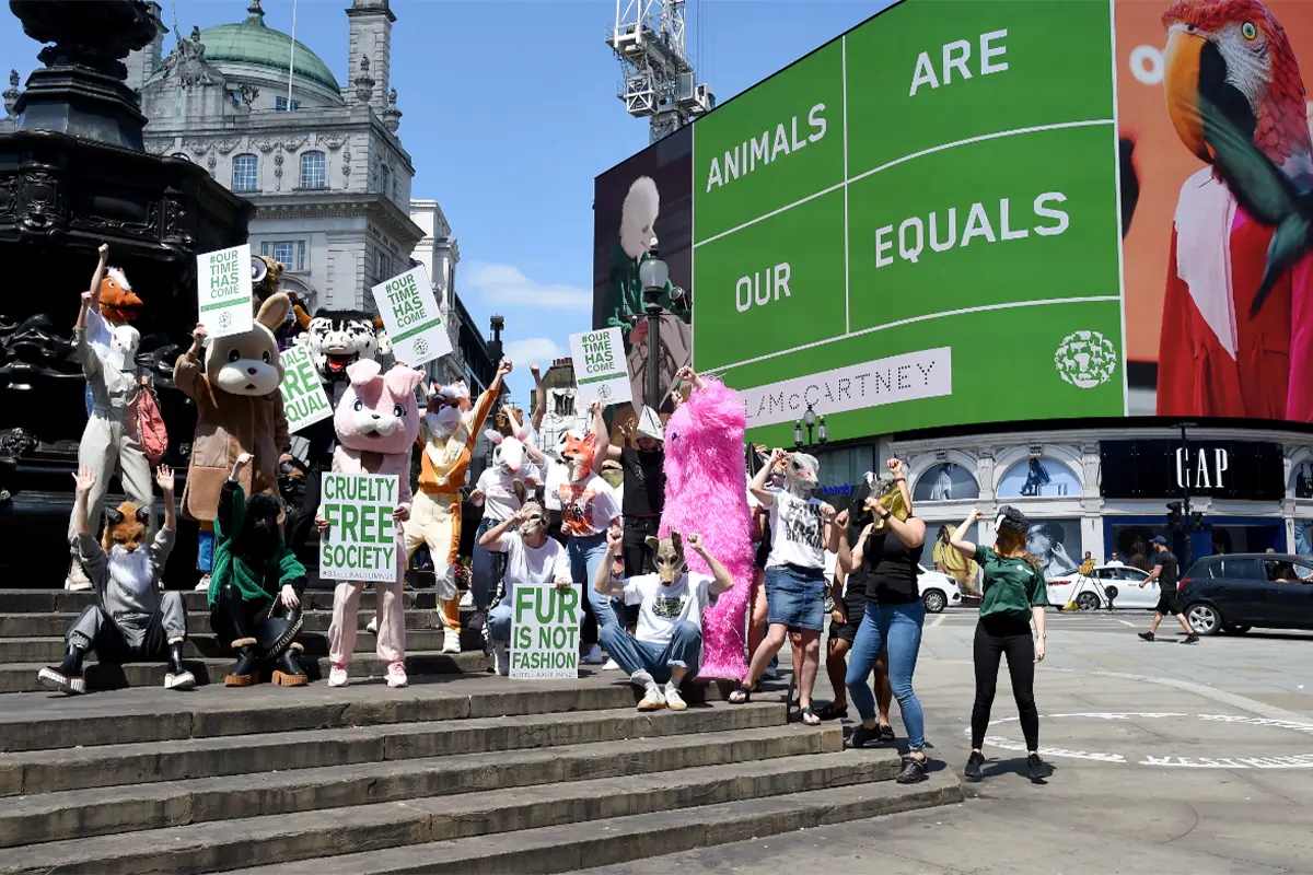 Lampoon, Celebrities join Stella McCartney and Humane Society International campaign. Photography Dave Benett, 2021