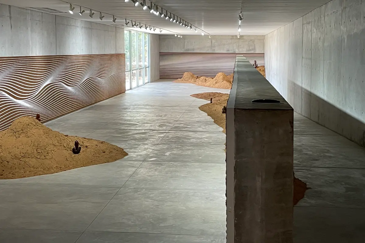 Claudia Comte, Curated by Alberto Ríos de la Rosa,From where we rise, Casa Wabi