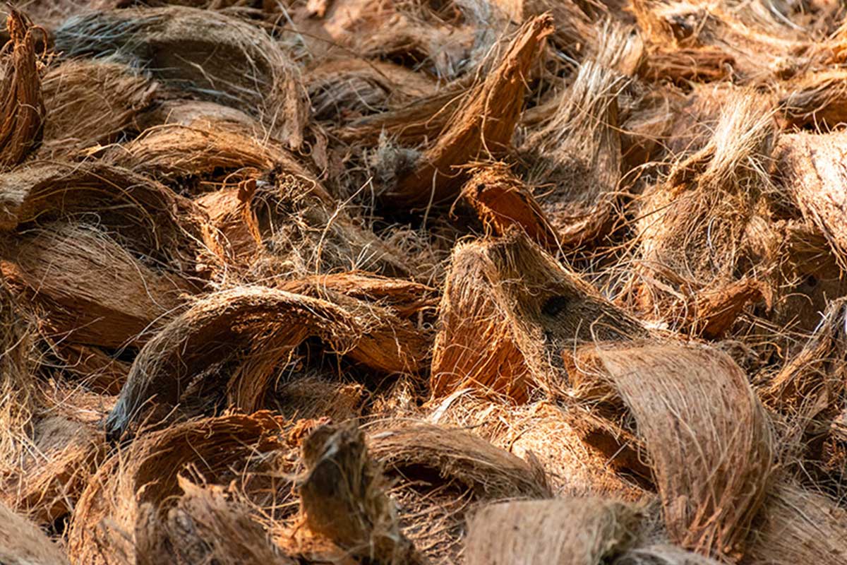 Coconut coir ropes
