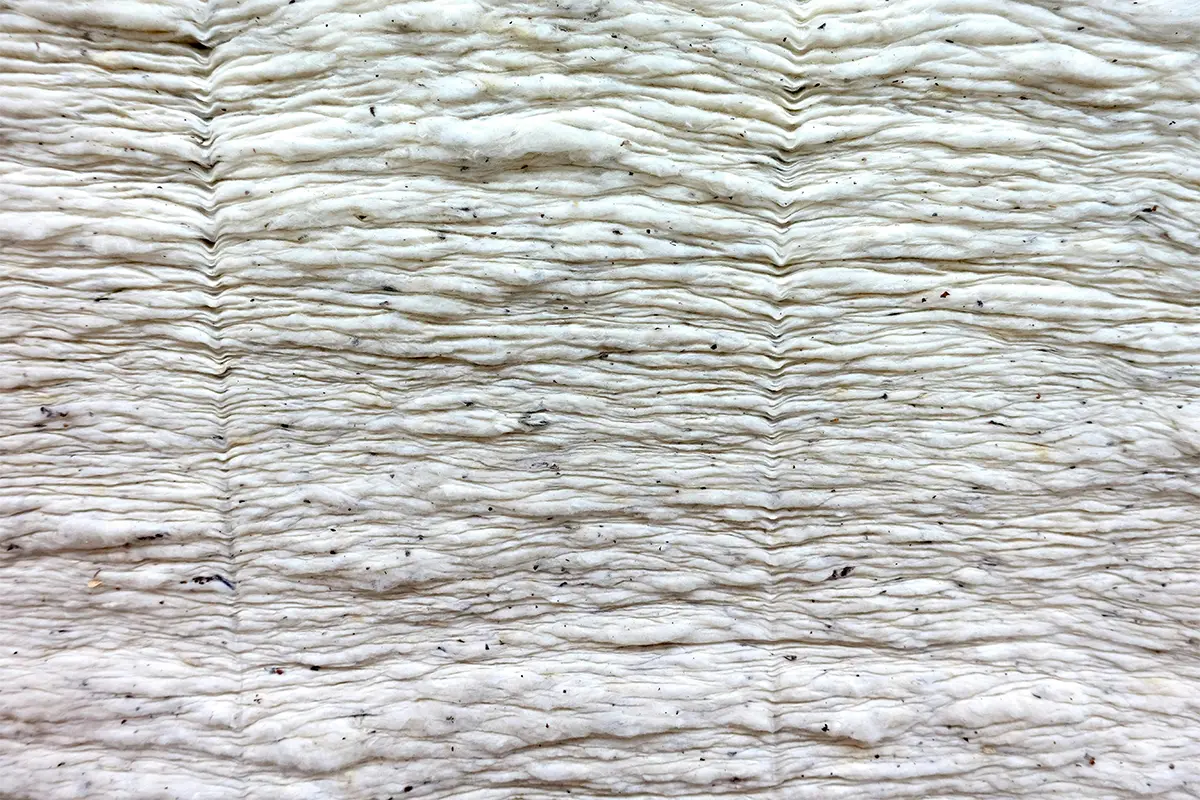 Cotone – il progetto di Gest|Cartina geografica di Capitanata