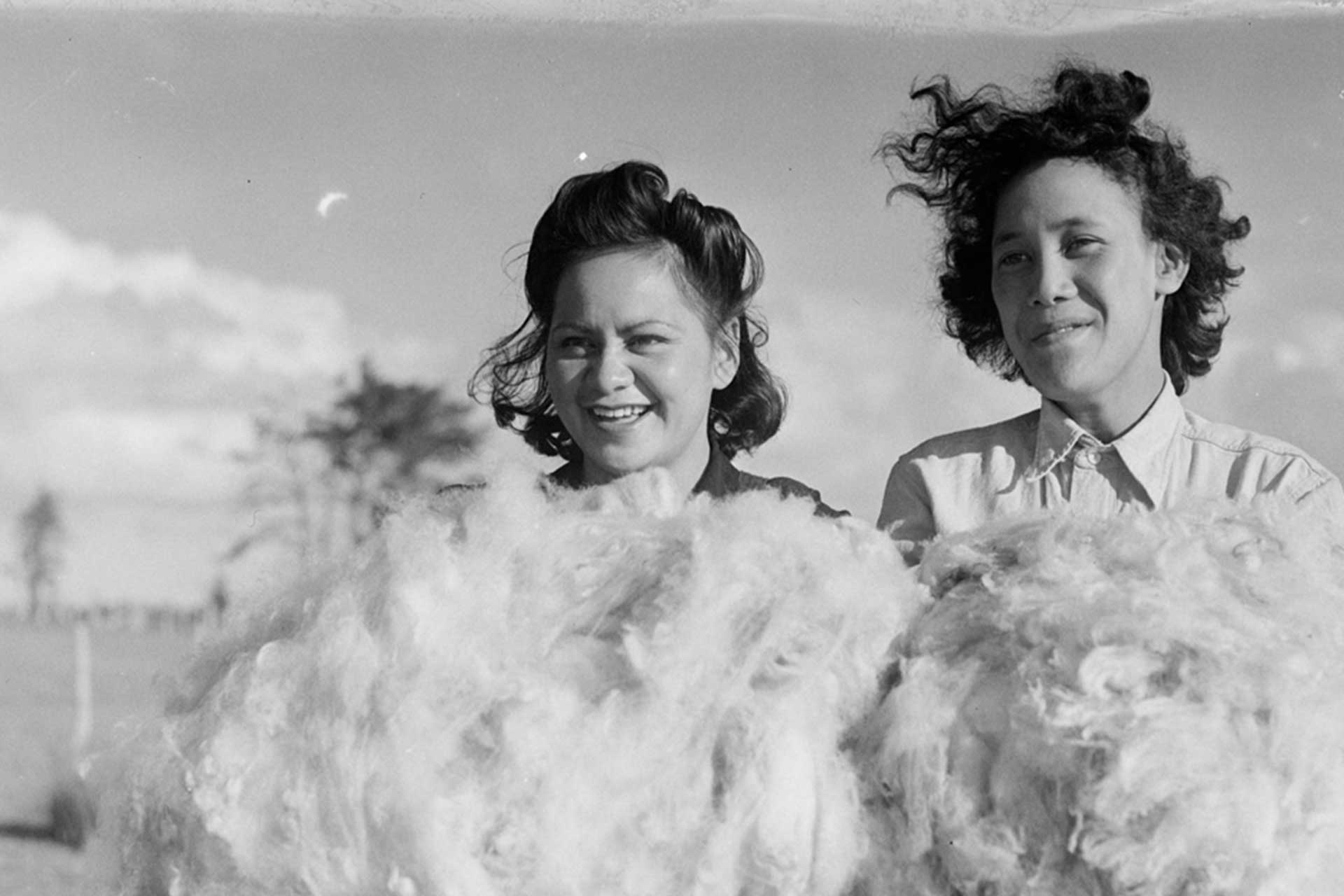 International wool