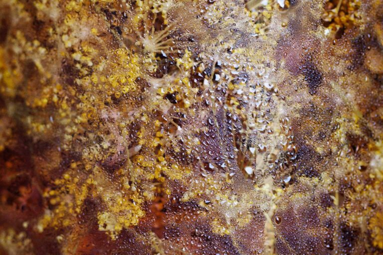 We mean it if we say It’s all about her