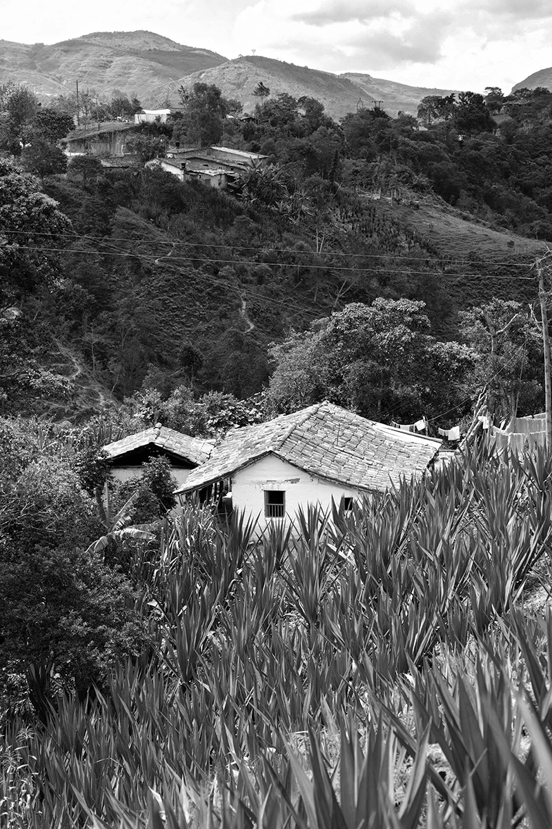 Curiti