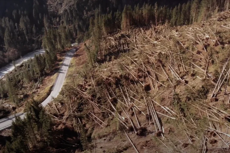 Dal video dell'opera Le troiane
