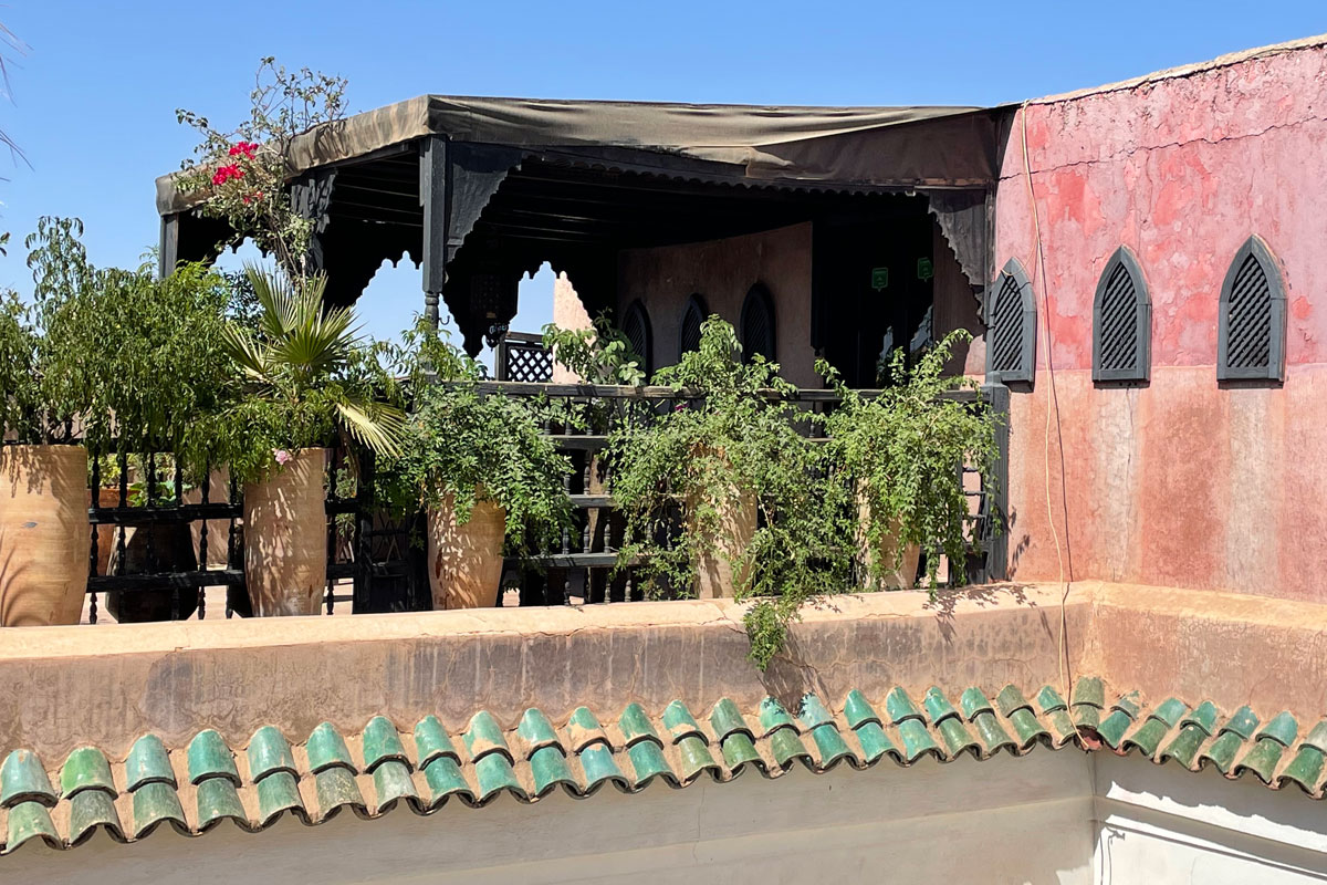 Dar Darma's green terrace, a spot in the shade among plants