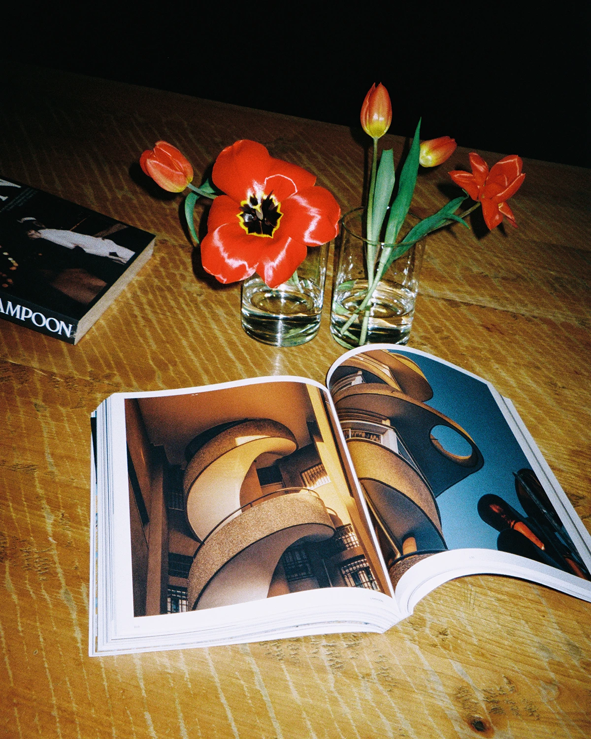 Details from Lampoon issue #31. Photography Arianna Angelini