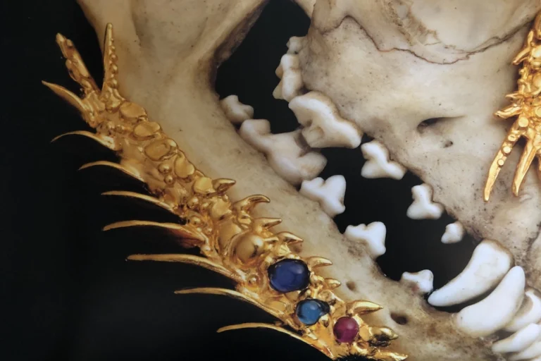 Dettaglio collana cranio di volpe