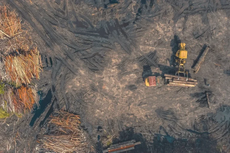 Soil and Artificial Snow