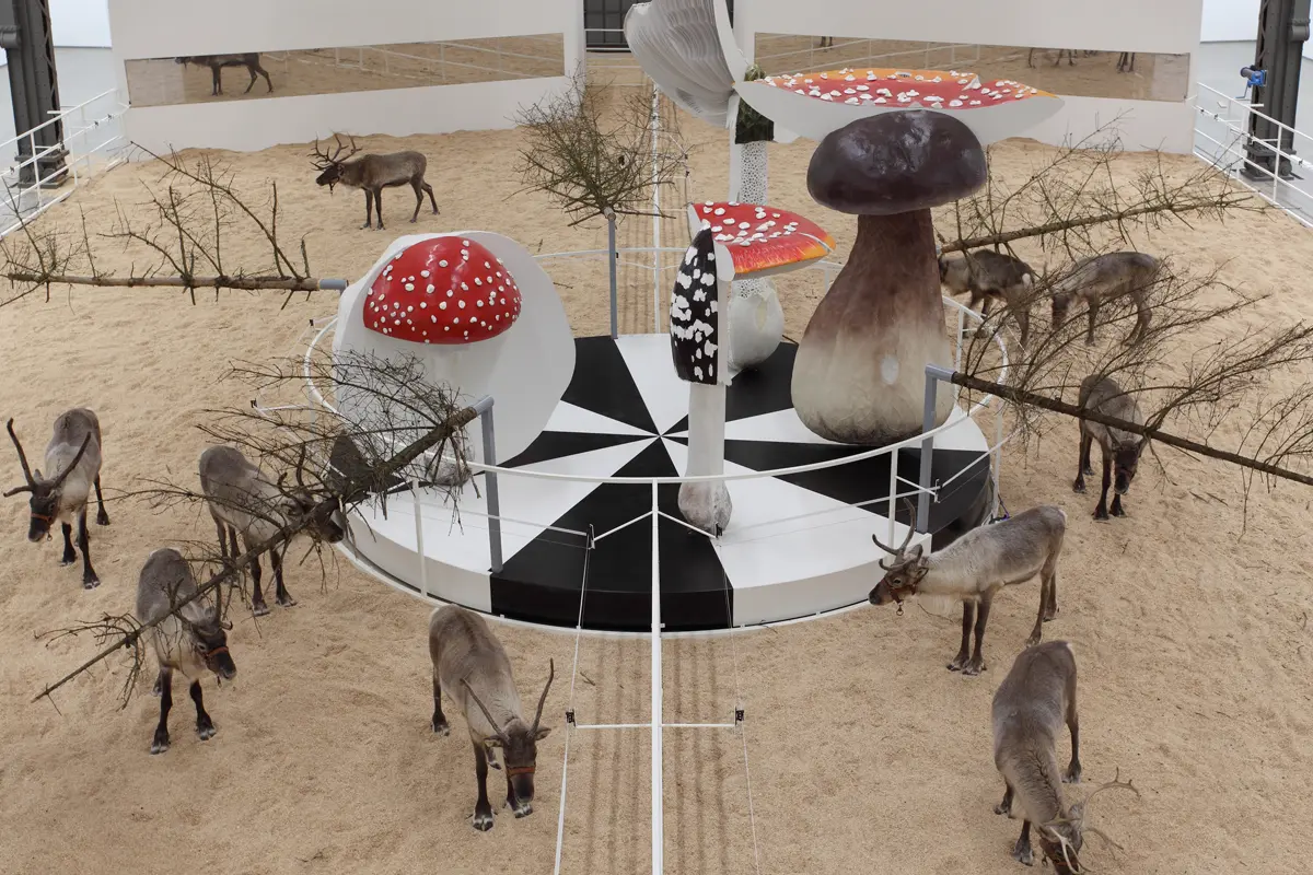 Double Mushroom Circle, Carsten Höller, Courtesy the artist and GALLERIA CONTINUA. Photo by Attilio Maranzano