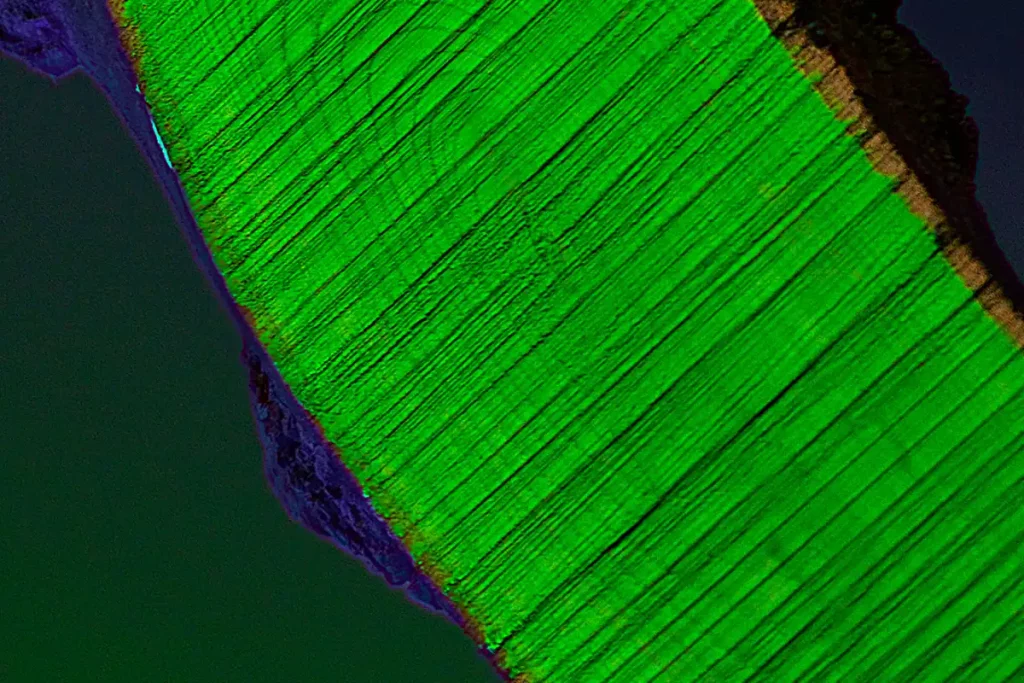 ||||