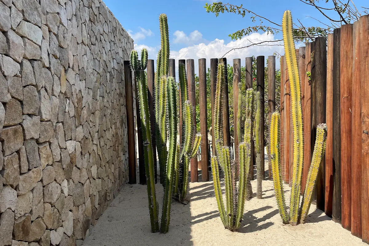Escondido Hotel, the garden