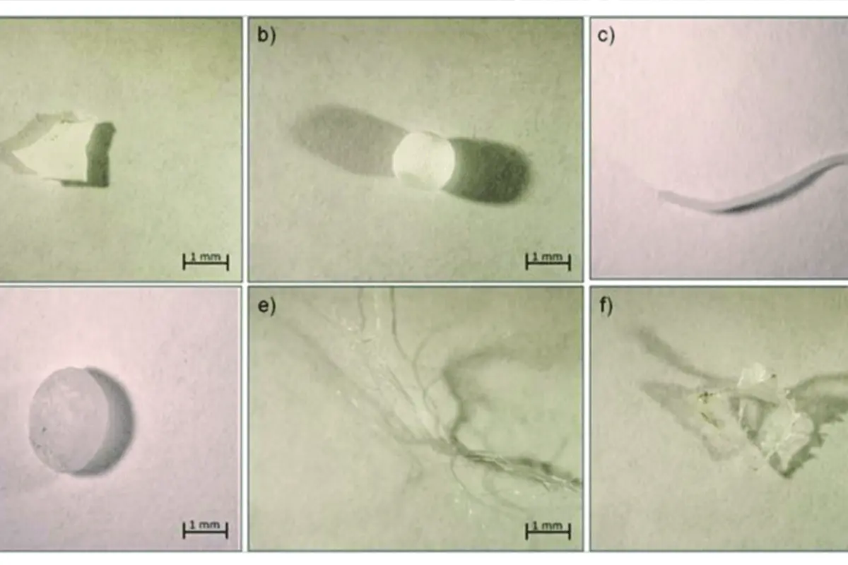 Lampoon, Examples of microplastics with different sizes and shapes (a) fragment, (b) foam, (c) line, (d) pellet, (e) fiber, (f) film