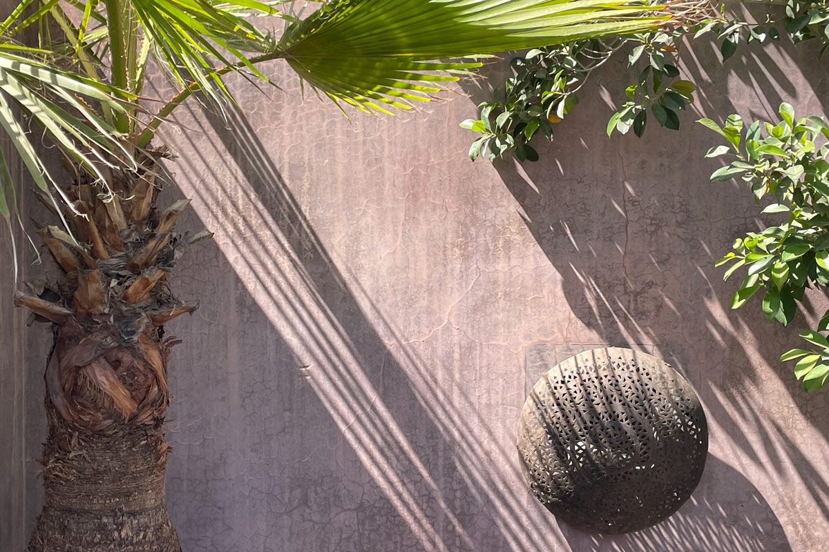 External details, trees shadows that sorround Dar Darma's outer space