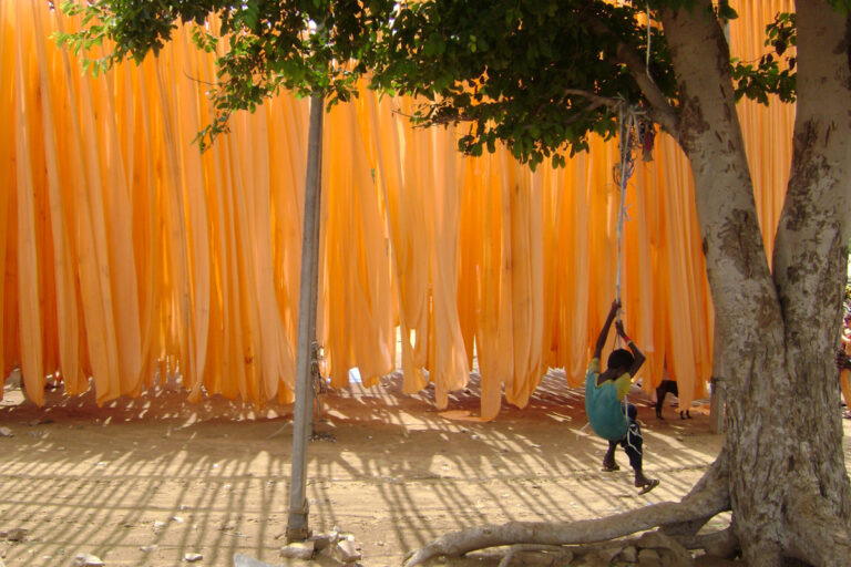 Colorifix – the company turning to microorganisms to tackle the macro issue of textile dyeing||