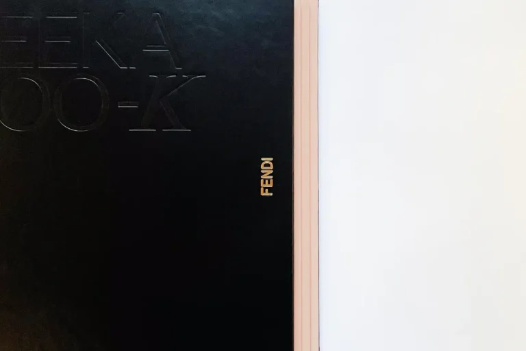 Fendi Peekaboo-k faux leather cover and detail of the golden logo