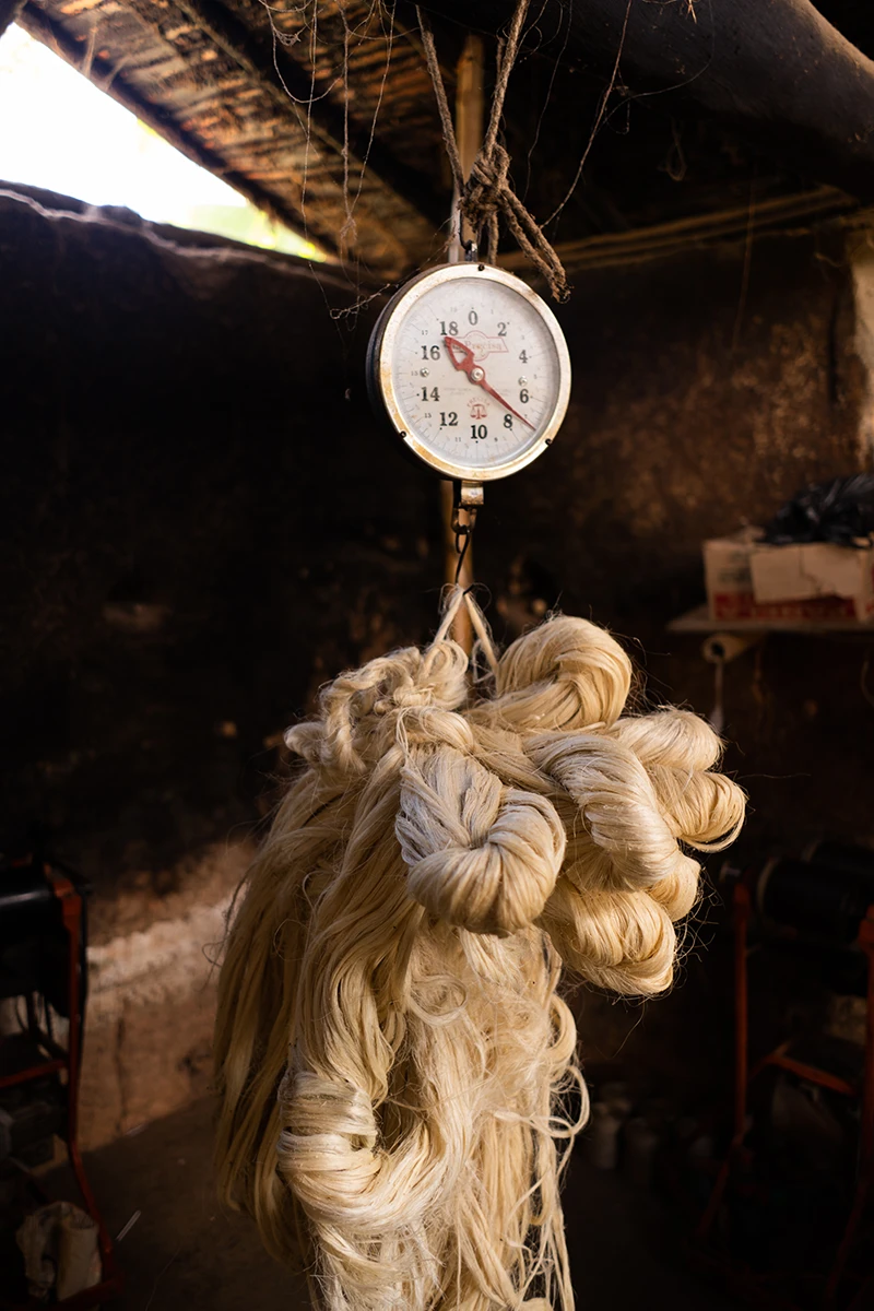 Fique fiber. Ph. Tomas Verdi