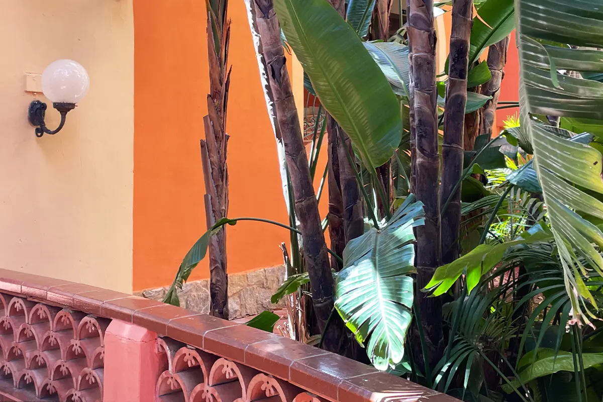 Forte Village